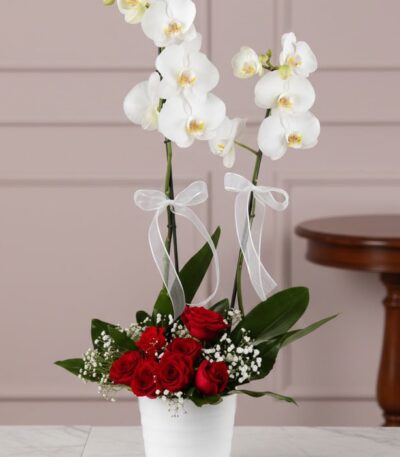 Arreglo floral BRIANA con orquídeas blancas y rosas rojas, ideal para expresar amor y pasión en cualquier ocasión especial.