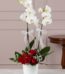 Arreglo floral BRIANA con orquídeas blancas y rosas rojas, ideal para expresar amor y pasión en cualquier ocasión especial.