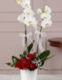 Arreglo floral BRIANA con orquídeas blancas y rosas rojas, ideal para expresar amor y pasión en cualquier ocasión especial.