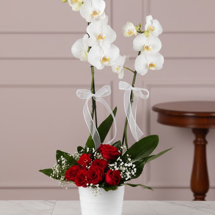 Arreglo floral BRIANA con orquídeas blancas y rosas rojas, ideal para expresar amor y pasión en cualquier ocasión especial.
