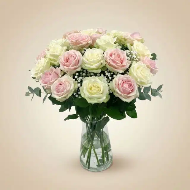 Arreglo floral Evelin con 22 rosas frescas en tonos blancos y rosados, complementado con follaje verde y gypsophila, presenta