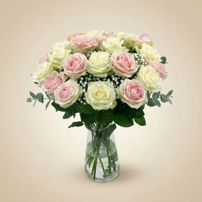 Arreglo Floral Evelin: 22 Rosas Blancas y Rosadas Frescas Arreglo floral Evelin con 22 rosas frescas en tonos blancos y rosados, complementado con follaje verde y gypsophila, presenta