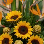 Primer plano extremo de Arreglo Floral Fantasía con girasoles vibrantes, flores de ave del paraíso y jengibre de colmena, got
