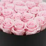 Primer plano extremo de 21 rosas rosadas frescas con gotas de rocío sutiles, dispuestas en un elegante cilindro negro, resalt