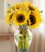 Arreglo floral de girasoles vibrantes en un jarrón de cristal transparente con lazo de yute, sobre un fondo elegante y suavem