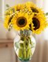 Arreglo floral de girasoles vibrantes en un jarrón de cristal transparente con lazo de yute, sobre un fondo elegante y suavem