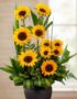 Arreglo floral GIULIANA con girasoles radiantes en un jarrón oscuro, ideal para ecommerce de floristería, con fondo elegante