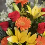 Primer plano extremo de Arreglo Floral con Frutas Quitana, mostrando rosas rojas, lirios amarillos y gerberas naranjas con go