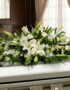 Arreglo fúnebre cubre caja con rosas blancas, lirios y follaje verde, presentado en una sala de velación premium con luz natu