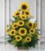 Arreglo floral de girasoles radiantes en un jarrón de madera, sobre una superficie de mármol, con un fondo elegante y luminos
