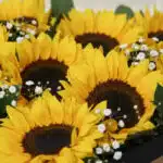 Primer plano extremo de un arreglo floral con girasoles 'Soleil' y pequeñas flores blancas, mostrando texturas hiperrealistas