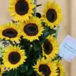 Primer plano extremo de un arreglo floral con girasoles Sunna, mostrando texturas hiperrealistas, gotas de rocío sutiles y co