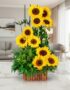 Arreglo floral con girasoles vibrantes y follaje verde en una base de madera, sobre una superficie de mármol pulido en un ent