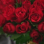Primer plano extremo de un arreglo de rosas rojas vibrantes con gotas de rocío, mostrando textura hiperrealista y frescura.