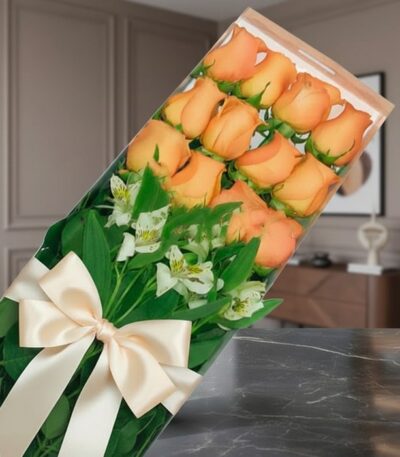 Caja de 12 rosas salmón frescas con follaje verde y alstroemerias blancas, presentadas en un empaque transparente con lazo be