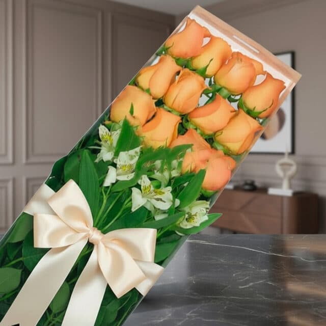 Caja de 12 rosas salmón frescas con follaje verde y alstroemerias blancas, presentadas en un empaque transparente con lazo be