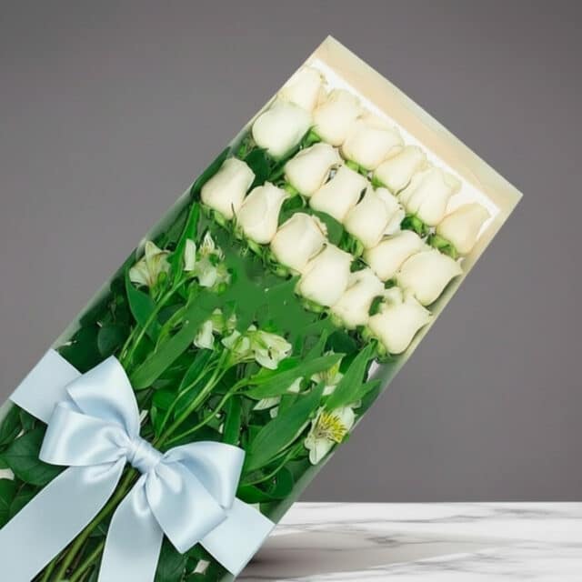 Caja de 18 rosas blancas frescas y vibrantes, con follaje verde y un lazo azul claro, sobre un fondo gris elegante. Ideal par