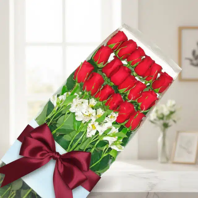 Caja de 18 rosas rojas frescas y alstroemerias blancas, con un elegante moño burdeos, sobre una mesa de mármol con fondo difu