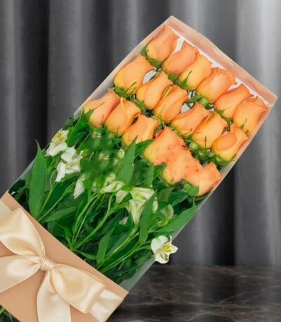 Caja de 18 rosas salmón frescas y vibrantes, presentadas en un elegante empaque con lazo, ideal para regalar en cualquier oca