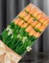 Caja de 18 rosas salmón frescas y vibrantes, presentadas en un elegante empaque con lazo, ideal para regalar en cualquier oca