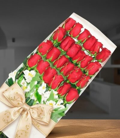 Caja de 24 rosas rojas frescas con gotas de rocío, lazo dorado y flores blancas de acompañamiento, sobre un fondo elegante de