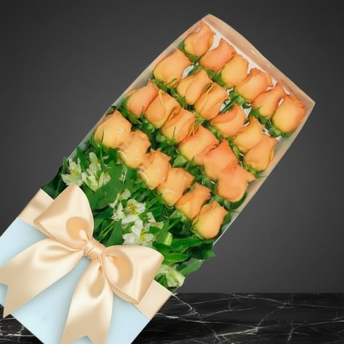 Caja premium de 24 rosas salmón frescas con follaje verde y lazo de satén, sobre fondo oscuro elegante.