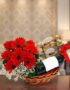 Cesta de regalo ROMA con gerberas rojas, vino tinto y chocolates Ferrero Rocher, ideal para ocasiones especiales.