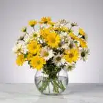 Arreglo floral Agatha con margaritas amarillas y blancas en un jarrón de cristal, ideal para regalar y decorar.