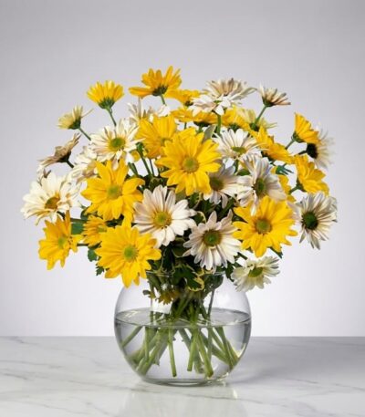 Arreglo floral Agatha con margaritas amarillas y blancas en un jarrón de cristal, ideal para regalar y decorar.