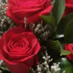 Primer plano extremo de un jarrón con 12 rosas rojas, mostrando texturas hiperrealistas, gotas de rocío y hojas verdes vibran