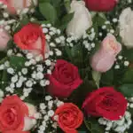 Primer plano extremo de un jarrón con 18 rosas multicolor, mostrando texturas hiperrealistas, sutiles gotas de rocío y colore