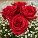 Primer plano extremo de un jarrón con 24 rosas rojas, mostrando texturas hiperrealistas, sutiles gotas de rocío y colores vib