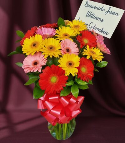 Jarrón de cristal con un vibrante arreglo de gerberas multicolores (rojas, amarillas, rosas) y follaje verde, atado con un la