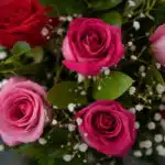 Primer plano extremo de un arreglo floral con rosas rojas y rosadas, mostrando texturas hiperrealistas y sutiles gotas de roc