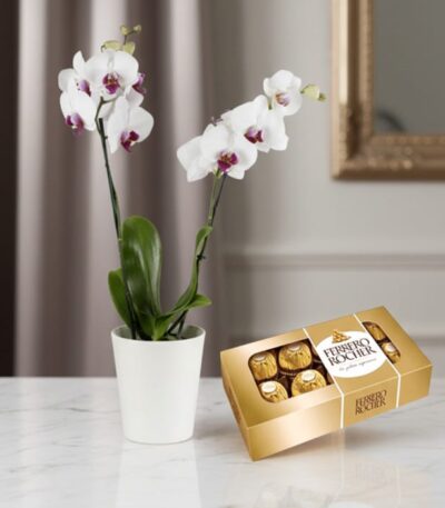 Orquídea ESTRELLA de doble vara con flores blancas y centro púrpura en maceta blanca, junto a una caja de chocolates Ferrero