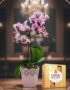 Orquídea Phalaenopsis Antonella en maceta rosa con encaje, junto a una caja de bombones Ferrero Rocher, sobre mesa de madera