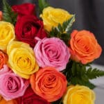 Primer plano extremo de un ramillete de rosas multicolor con gotas de rocío, mostrando texturas hiperrealistas y colores vibr