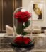 Rosa preservada roja en cúpula de cristal sobre una mesa de mármol negro, con un fondo elegante de lobby de hotel boutique.