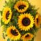 Flores girasoles — arreglosflorales.net