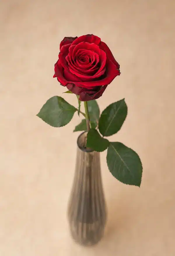 Flores solitarios — arreglosflorales.net
