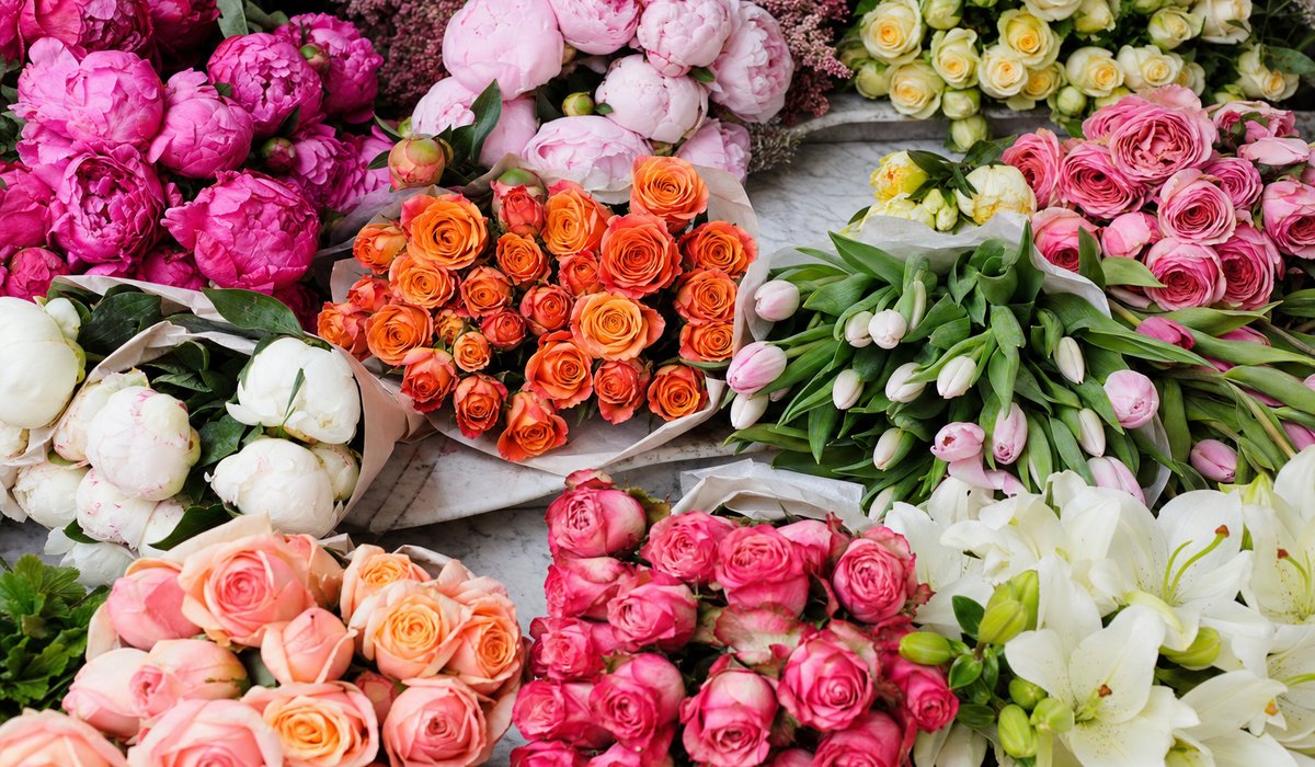 Flores frescas premium